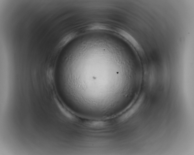 X0000114680849200910211209