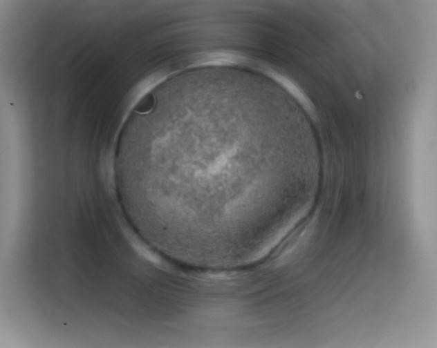 X0000114680850200910211209