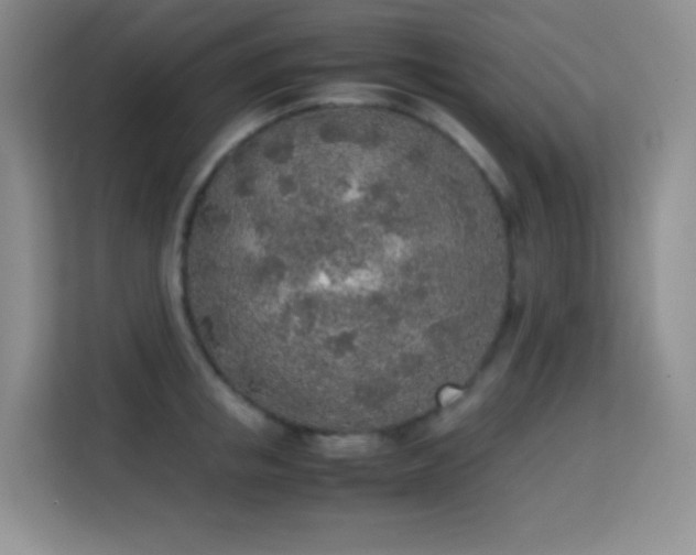 X0000114680853200910211209