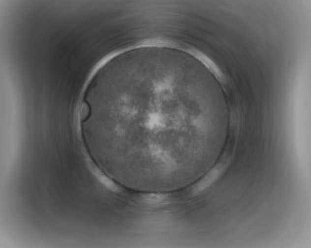 X0000114680854200910211209
