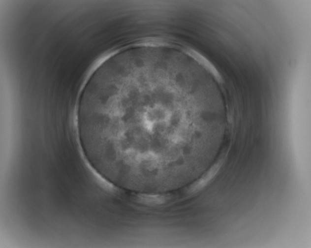 X0000114680855200910211209
