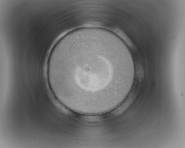X0000114680856200910211209