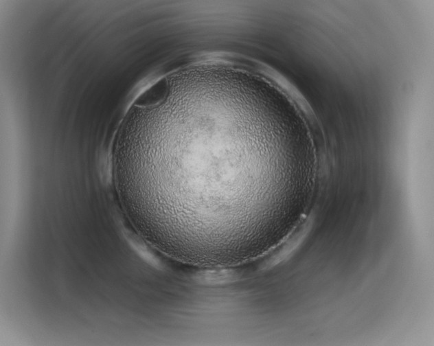 X0000114680858200910211209