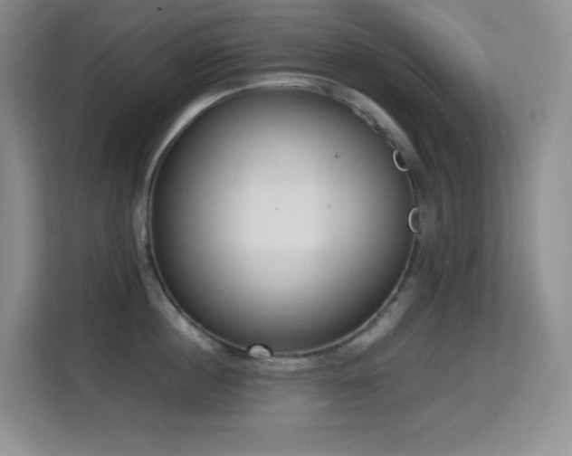 X0000114680860200910211209