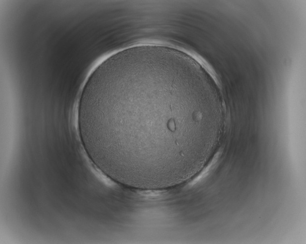 X0000114680862200910211209