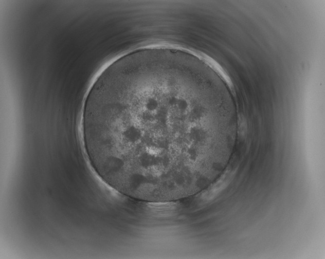 X0000114680863200910211209