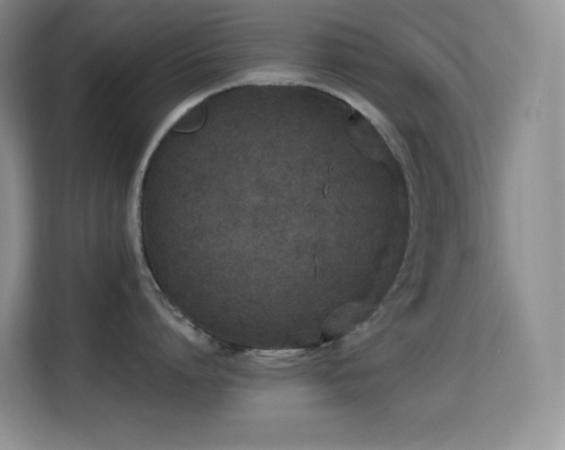 X0000114680864200910211209