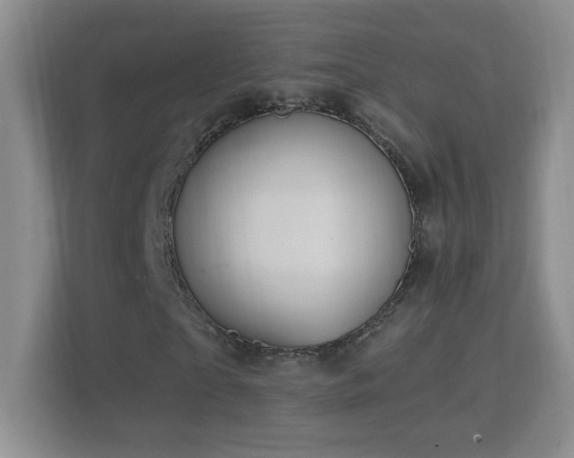 X0000114680865200910211208