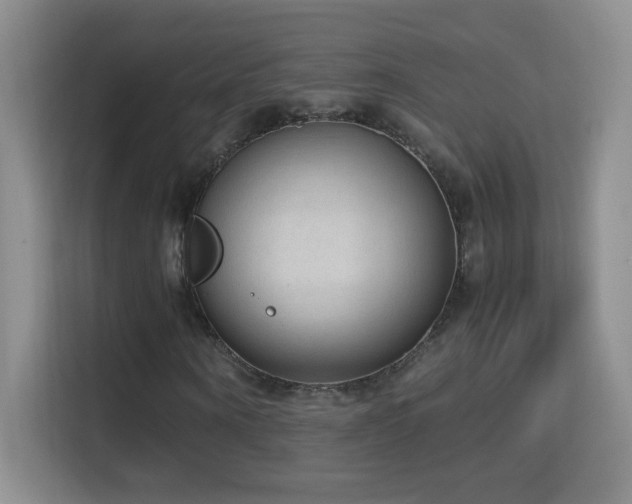 X0000114680866200910211208