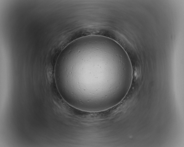X0000114680867200910211208