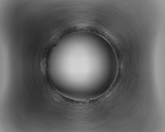 X0000114680868200910211208