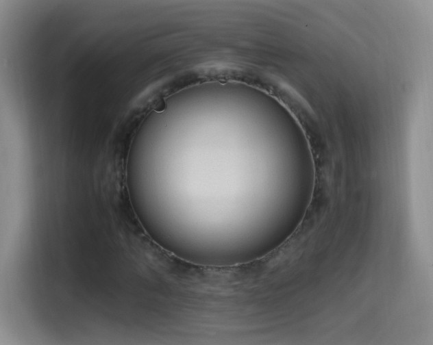 X0000114680870200910211208