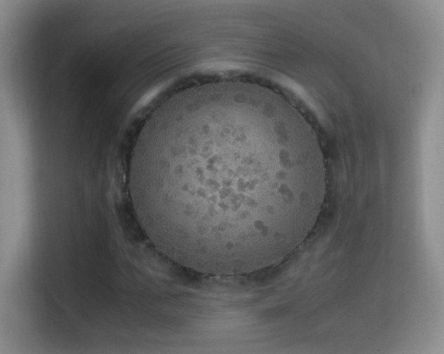 X0000114680871200910211208