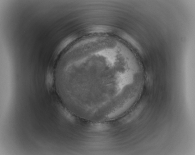 X0000114680874200910211208