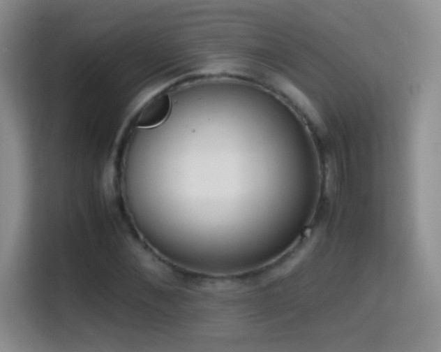 X0000114680876200910211208