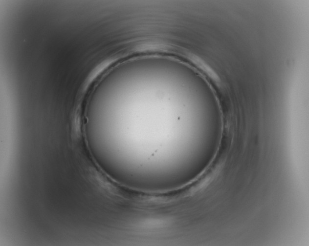X0000114680877200910211208