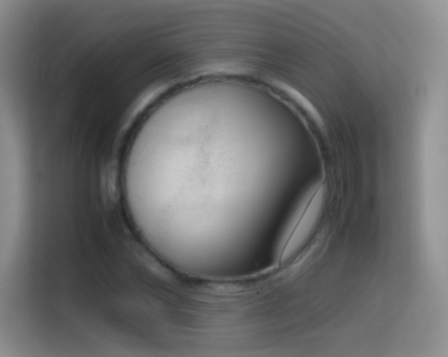 X0000114680878200910211208
