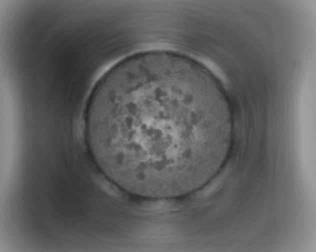 X0000114680879200910211208