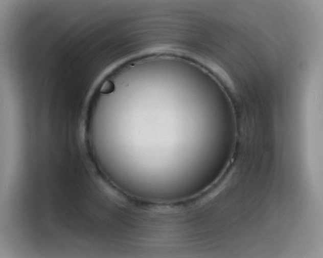 X0000114680880200910211208