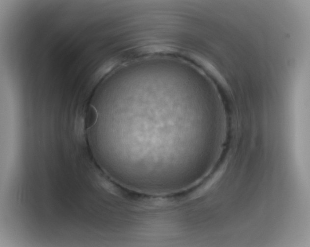 X0000114680881200910211208