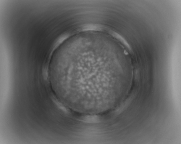 X0000114680882200910211208