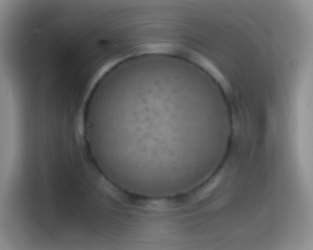 X0000114680883200910211208