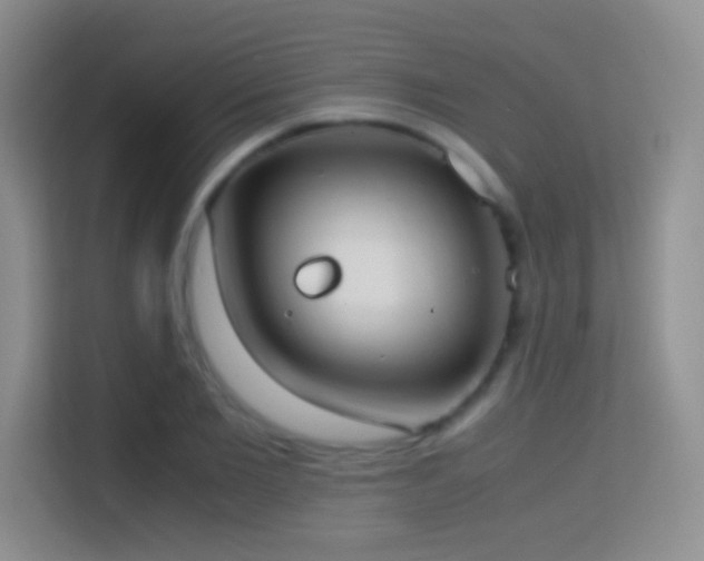X0000114680885200910211208