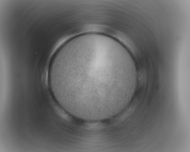 X0000114680886200910211208