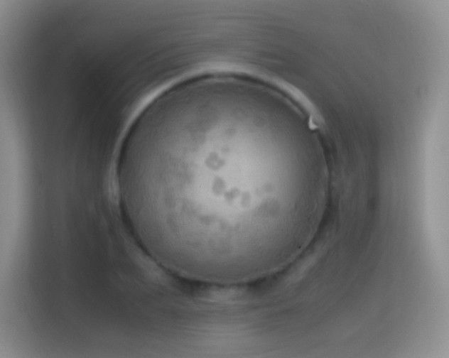 X0000114680887200910211208
