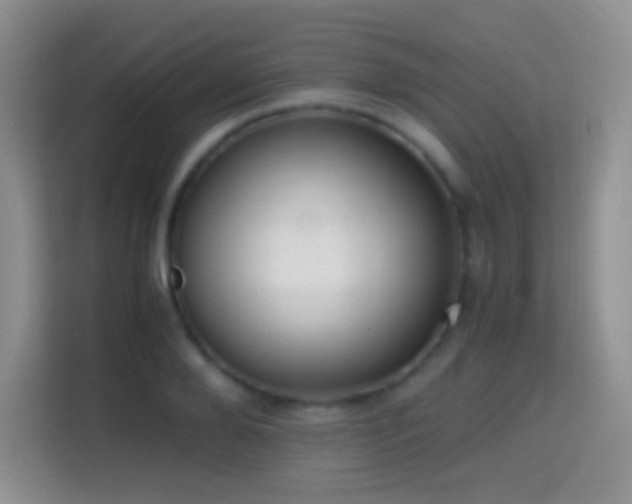 X0000114680888200910211208