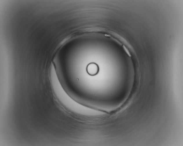 X0000114680889200910211208