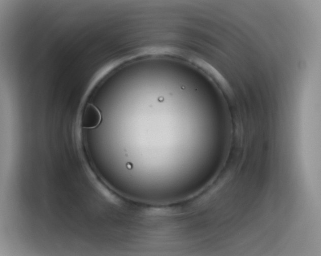 X0000114680894200910211208