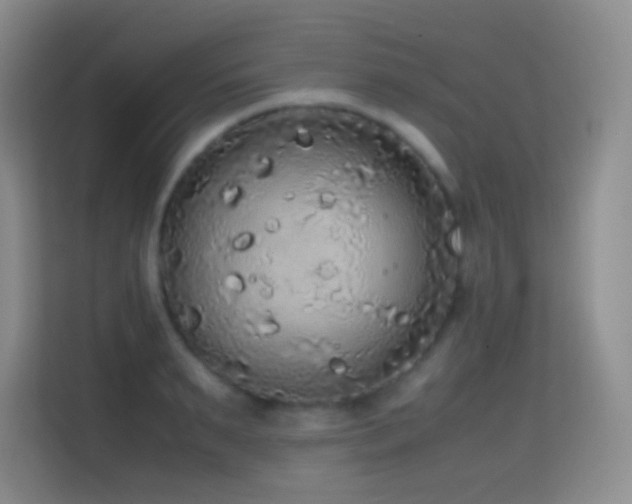 X0000114680895200910211208