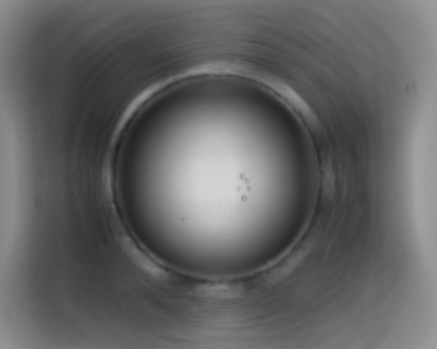 X0000114680896200910211208
