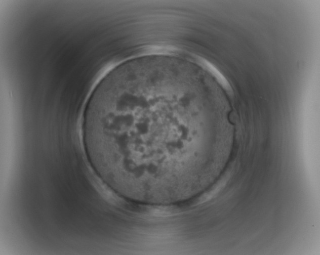 X0000114680899200910211208