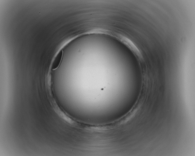 X0000114680900200910211208