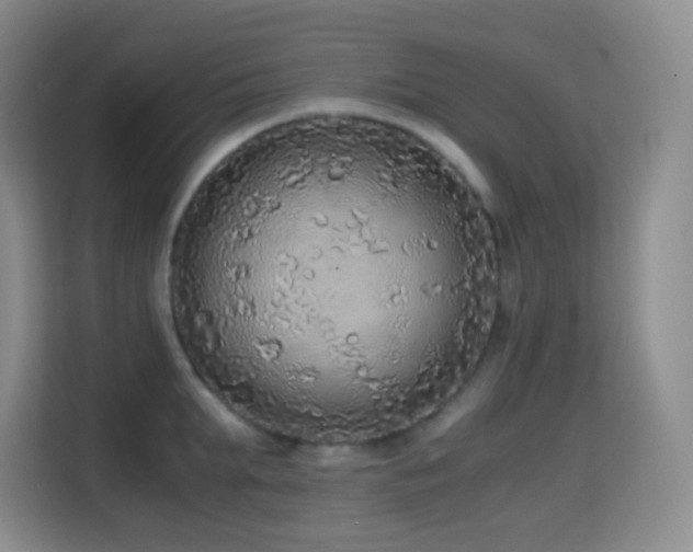 X0000114680903200910211208