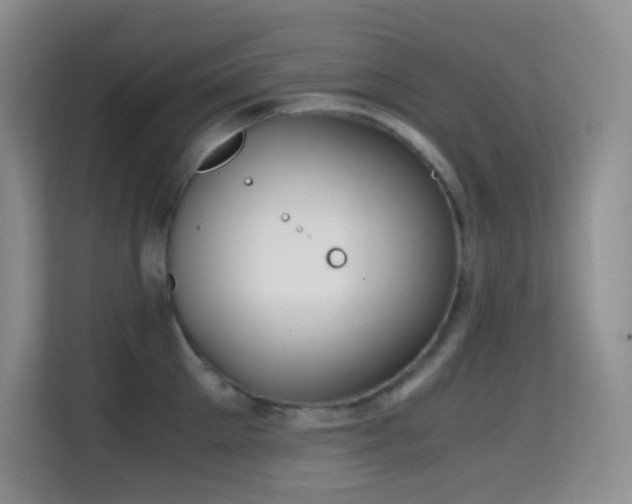 X0000114680905200910211208