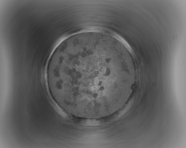 X0000114680907200910211208