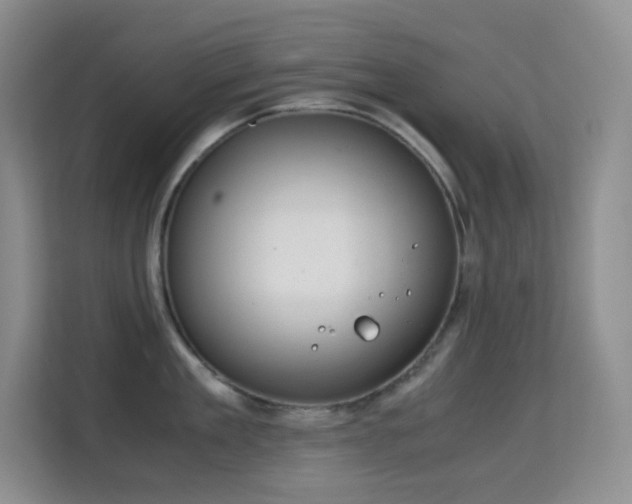 X0000114680909200910211208