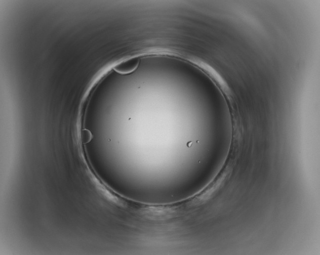 X0000114680910200910211208