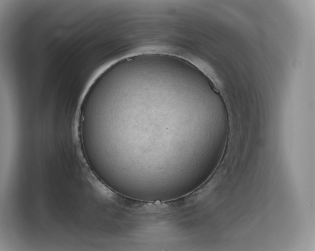 X0000114680912200910211208