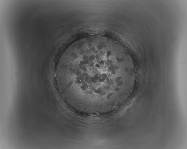 X0000114680913200910211207