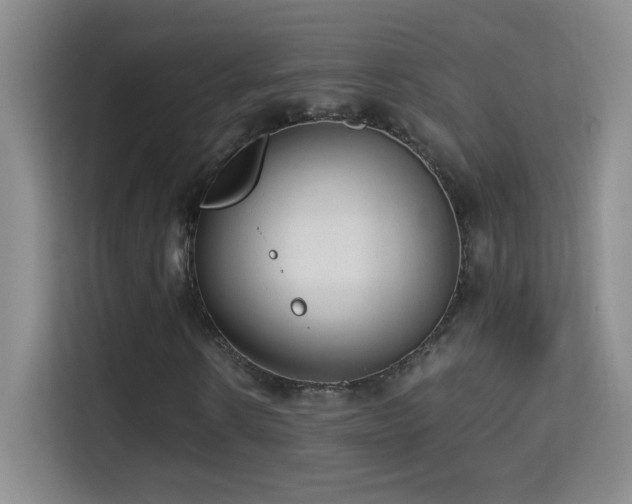 X0000114680914200910211207