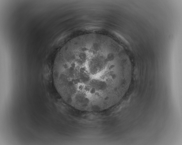 X0000114680917200910211207