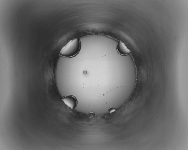 X0000114680918200910211207