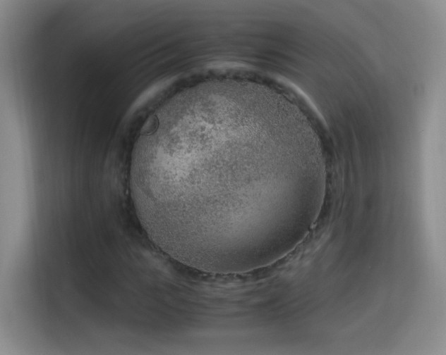 X0000114680919200910211207