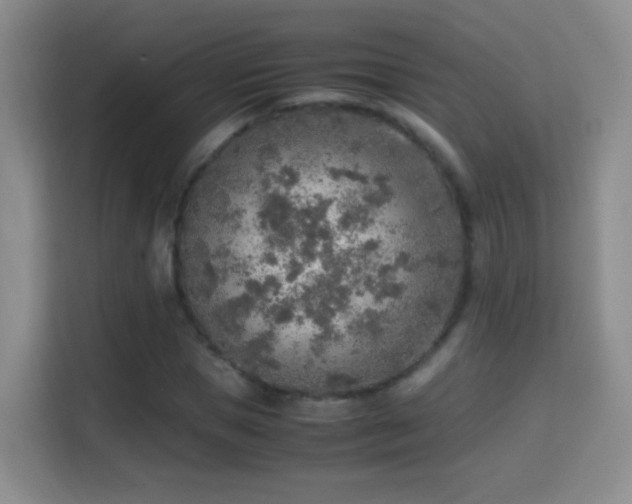 X0000114680921200910211207