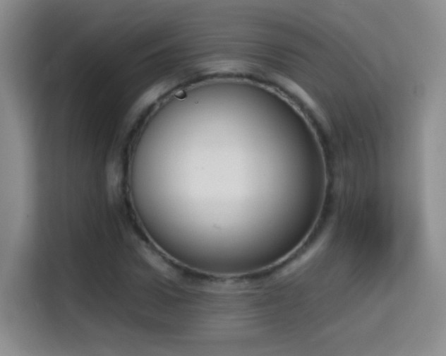 X0000114680922200910211207