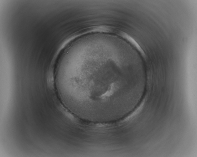 X0000114680923200910211207